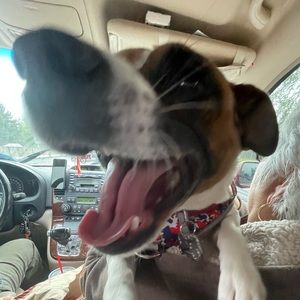 Meet your Posher, Jasmin